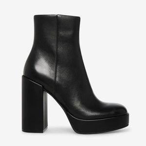 Steve Madden Zenia Booties